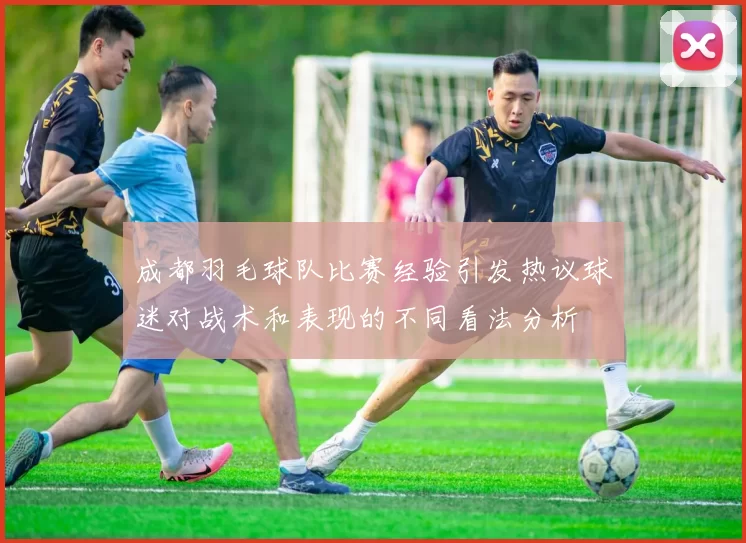 成都羽毛球队比赛经验引发热议球迷对战术和表现的不同看法分析