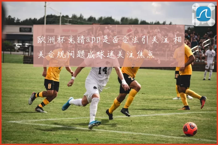 欧洲杯竞猜app是否合法引关注 相关合规问题成球迷关注焦点