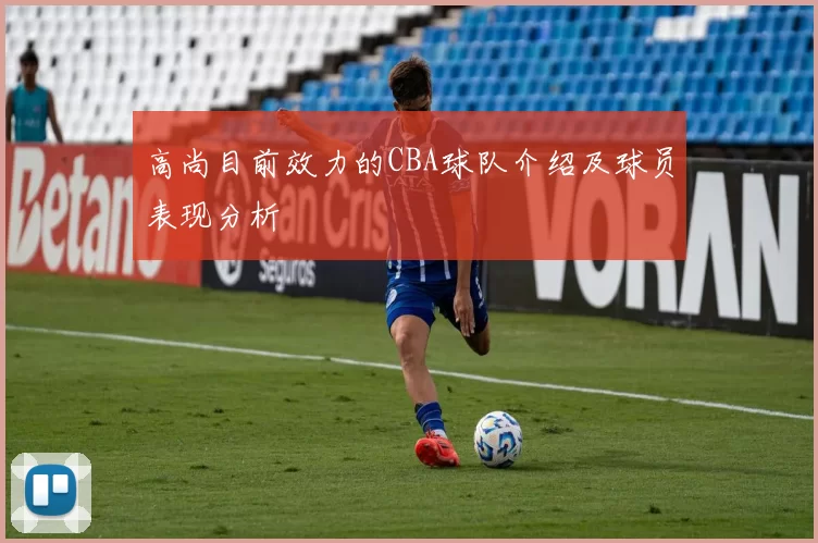 高尚目前效力的CBA球队介绍及球员表现分析