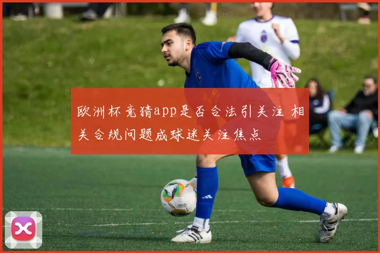 欧洲杯竞猜app是否合法引关注 相关合规问题成球迷关注焦点