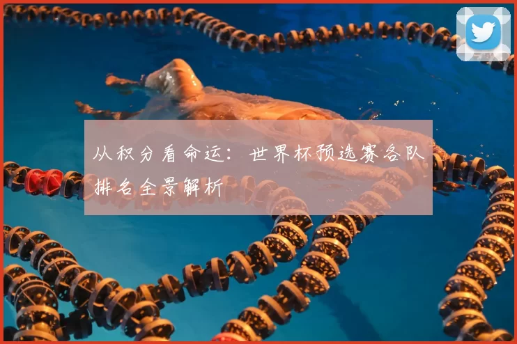 从积分看命运:世界杯预选赛各队排名全景解析