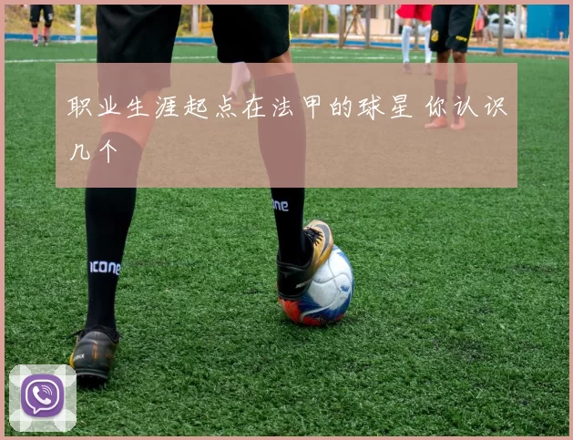 职业生涯起点在法甲的球星 你认识几个