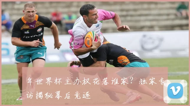 年世界杯主办权花落谁家？独家专访揭秘幕后竞逐