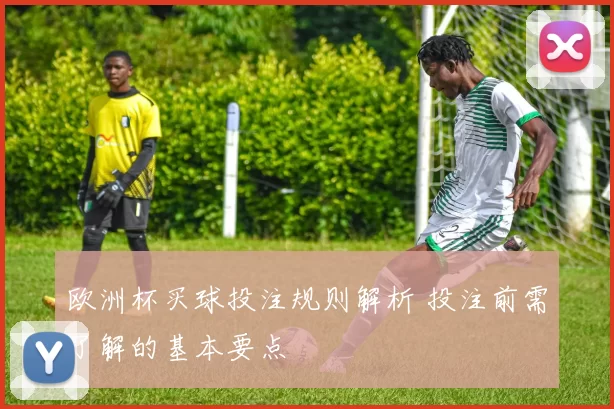 欧洲杯买球投注规则解析 投注前需了解的基本要点