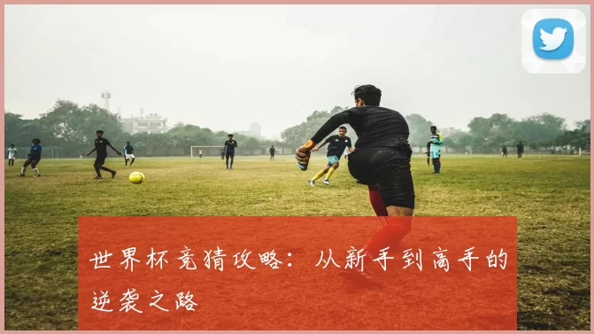 世界杯竞猜攻略：从新手到高手的逆袭之路