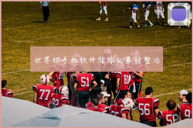 世界杯手机软件赌球乱象待整治