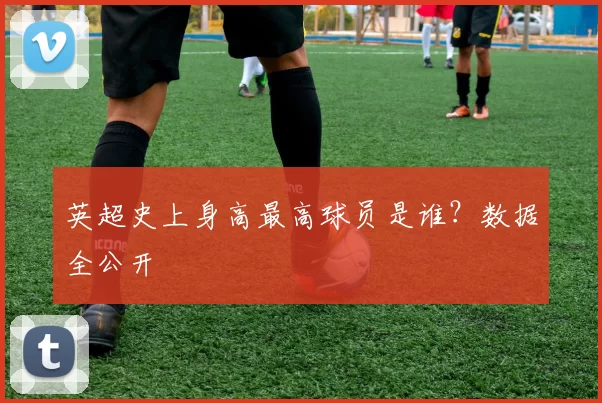 英超史上身高最高球员是谁?数据全公开