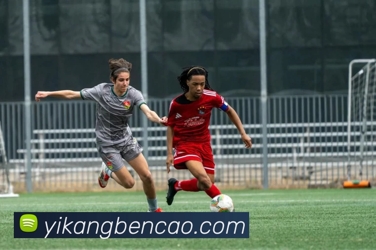 多媒体互动体验