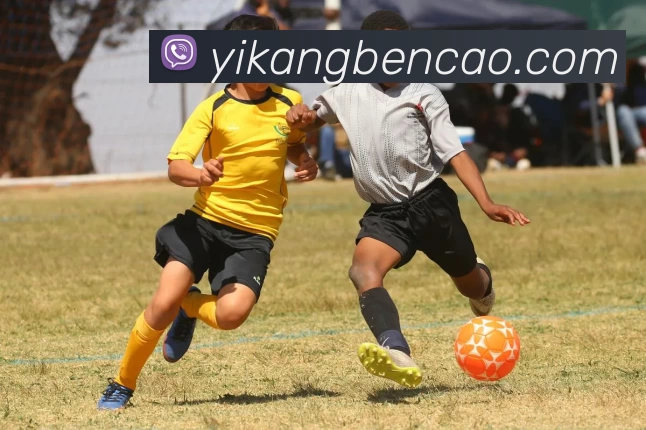 kaiyunAPP 高清赛事图